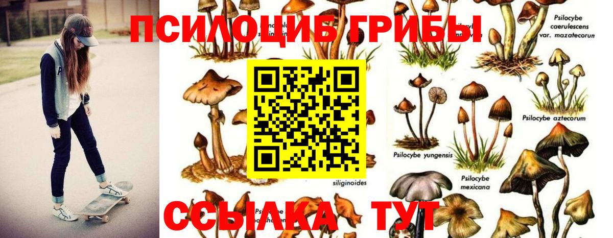 Псилоцибиновые грибы мухоморы  Псилоцибиновые грибы прущие грибы  Вход с VPN  Сокол 